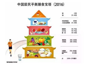 科学饮食