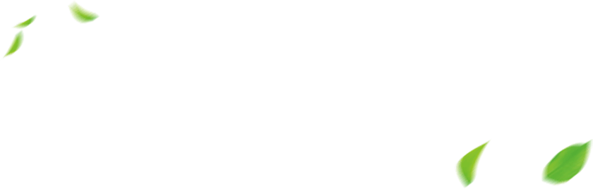 小娄农家樱桃