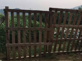 小娄农家菜园子