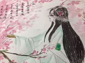 小娄农家樱桃花