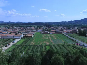 小娄农家懂你的地方
