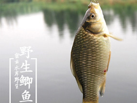 小娄农家水库鱼 
